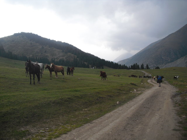 Kyrgyzstan - CIMG1652.JPG
